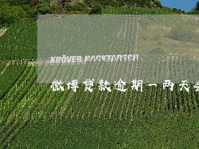 微博贷款逾期一两天会怎么样 微博贷款逾期一两天会怎么样