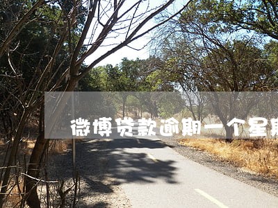 微博贷款逾期一个星期