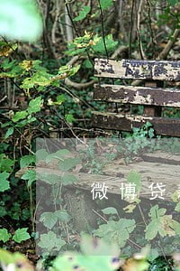 微博贷款逾期会怎样 微博贷款逾期会怎样