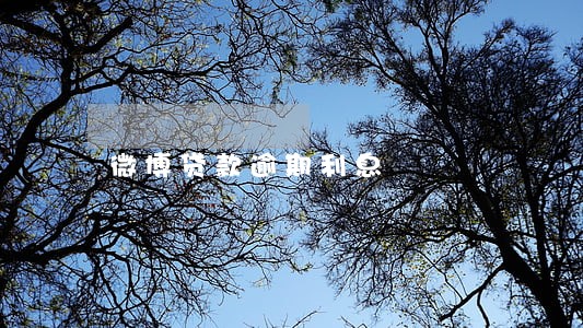 微博贷款逾期利息 微博贷款逾期利息