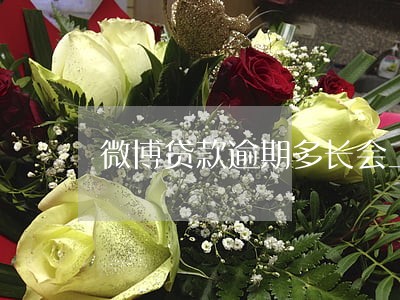 微博贷款逾期多长会上征信 微博贷款逾期多长会上征信