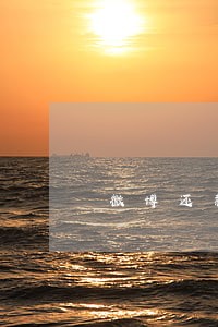 微博还款逾期1天 微博还款逾期1天