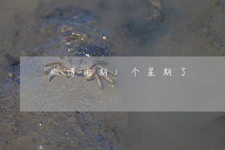 微博逾期1个星期了 微博逾期1个星期了