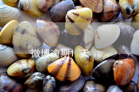 微博逾期1天 微博逾期1天