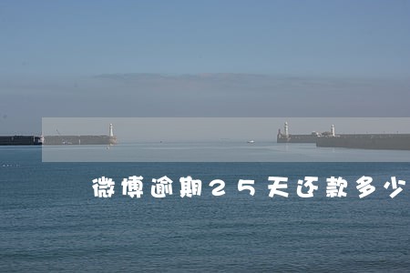 微博逾期25天还款多少 微博逾期25天还款多少