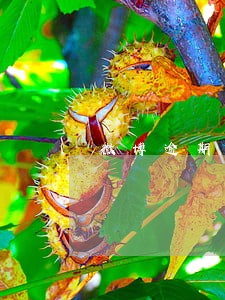 微博逾期28天 微博逾期28天