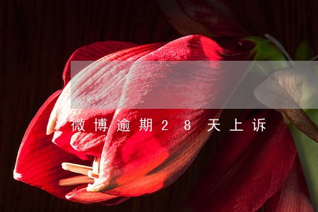 微博逾期28天上诉 微博逾期28天上诉