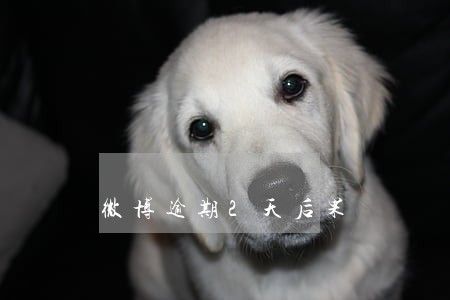 微博逾期2天后果 微博逾期2天后果