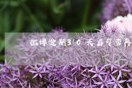 微博逾期30天后可否再借 微博逾期30天后可否再借