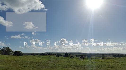 微博逾期40天会被拘留吗 微博逾期40天会被拘留吗