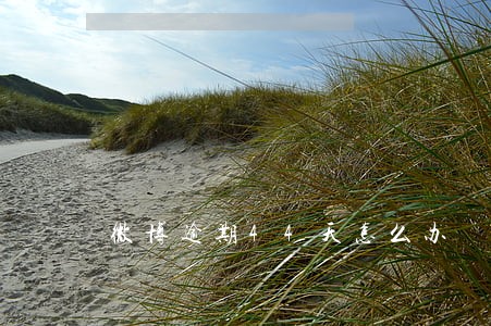 微博逾期44天怎么办 微博逾期44天怎么办
