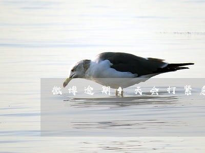 微博逾期4天会打紧急联系人吗 微博逾期4天会打紧急联系人吗