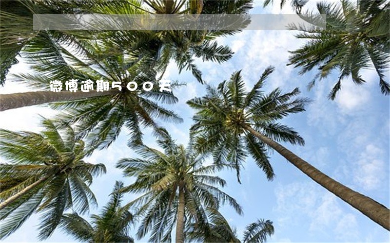 微博逾期500天