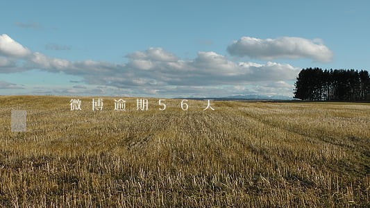 微博逾期56天 微博逾期56天