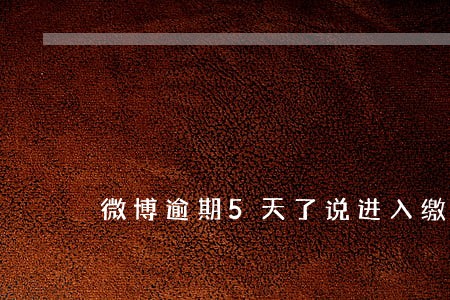 微博逾期5天了说进入缴流程序 微博逾期5天了说进入缴流程序