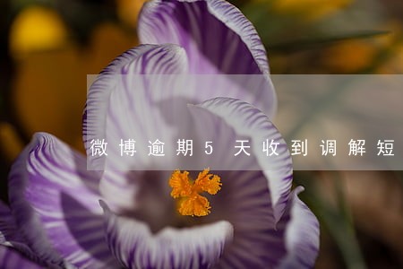 微博逾期5天收到调解短信 微博逾期5天收到调解短信
