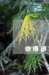 微博逾期5天还能借吗