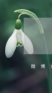 微博金融网贷逾期还不上怎么办 微博金融网贷逾期还不上怎么办