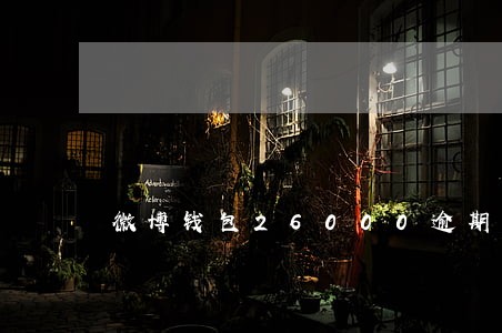 微博钱包26000逾期 微博钱包26000逾期