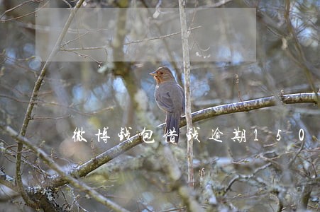 微博钱包借钱逾期150天 微博钱包借钱逾期150天