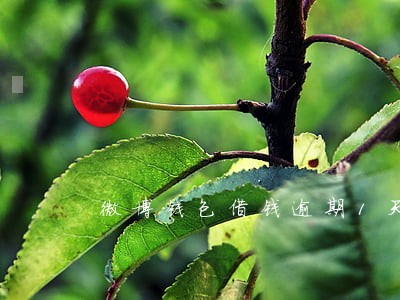 微博钱包借钱逾期1天