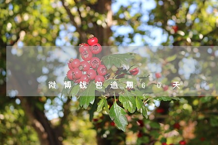 微博钱包逾期60天 微博钱包逾期60天