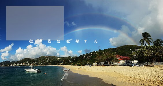 微博钱包逾期7天