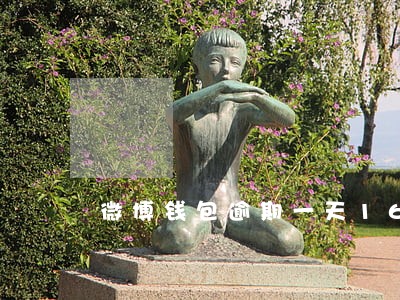 微博钱包逾期一天169