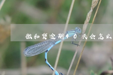 微和贷逾期40天会怎么样 微和贷逾期40天会怎么样