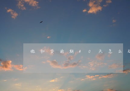 微和贷逾期40天怎么处理