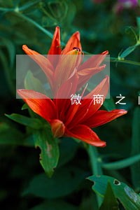 微商之间的法律关系