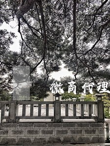 微商代理费不退是违法吗 微商代理费不退是违法吗