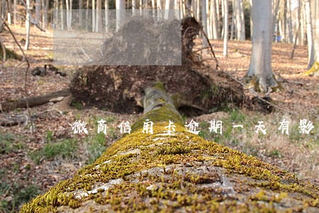 微商信用卡逾期一天有影响吗