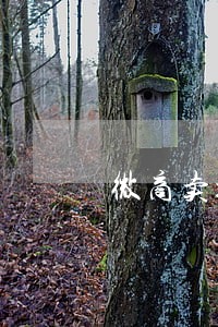 微商卖xx鞋子违法吗 微商卖xx鞋子违法吗
