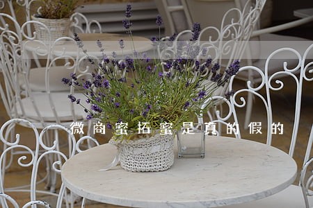微商蜜拓蜜是真的假的