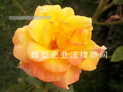 微型企业法律顾问 微型企业法律顾问