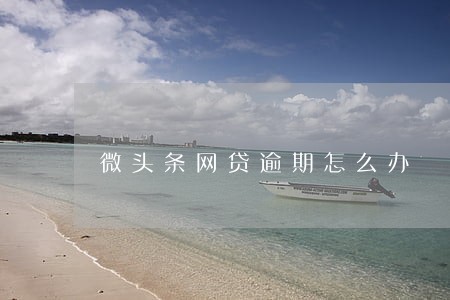 微头条网贷逾期怎么办