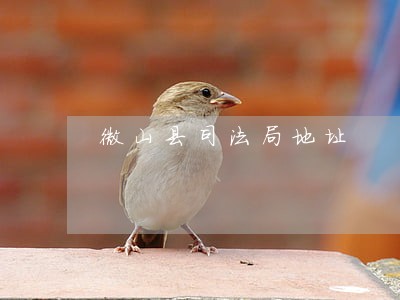 微山县司法局地址 微山县司法局地址