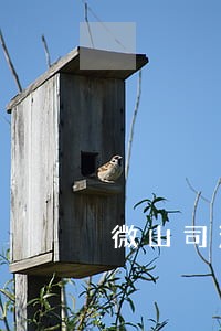 微山司法局范计安