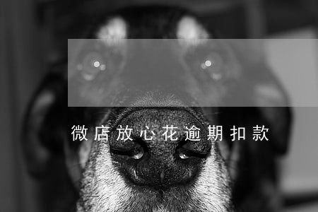 微店放心花逾期扣款 微店放心花逾期扣款