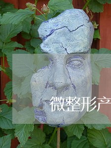 微整形产品违法吗 微整形产品违法吗