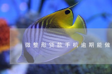 微整形贷款手机逾期能做吗