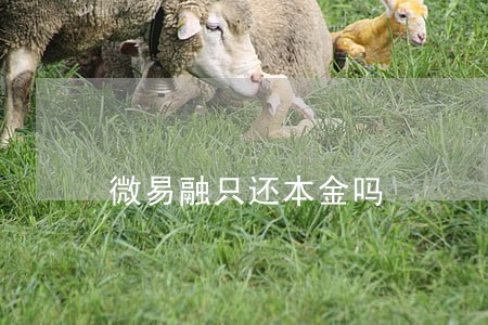 微易融只还本金吗 微易融只还本金吗