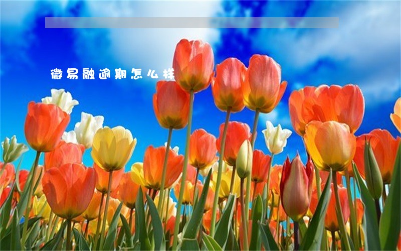 微易融逾期怎么样 微易融逾期怎么样