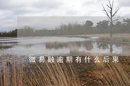 微易融逾期有什么后果 微易融逾期有什么后果