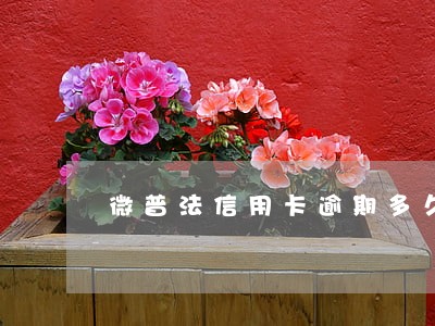 微普法信用卡逾期多久会坐牢 微普法信用卡逾期多久会坐牢