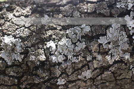 微普法信用卡逾期多久判定