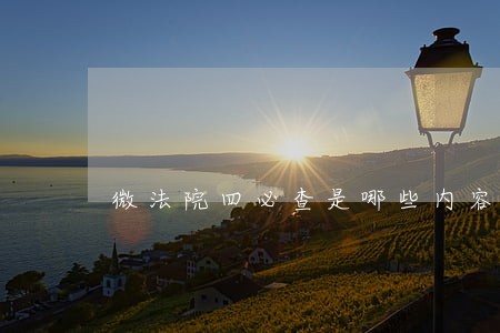 微法院四必查是哪些内容 微法院四必查是哪些内容