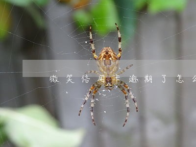 微笑信用卡逾期了怎么办