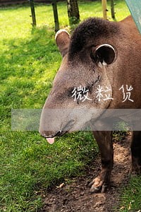 微粒货逾期1天还完还能在借吗